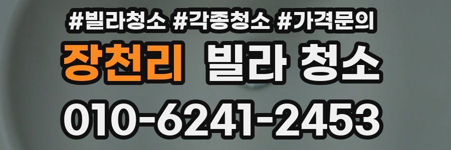 장천리 빌라 청소