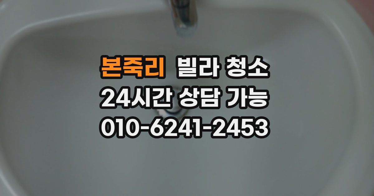 본죽리 빌라 청소