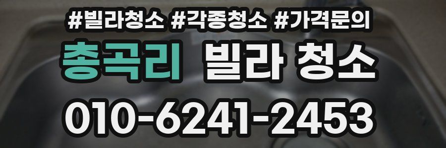 총곡리 빌라 청소