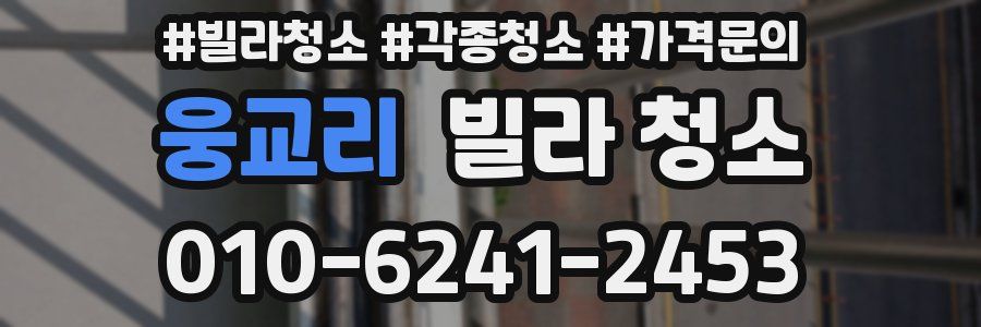 웅교리 빌라 청소