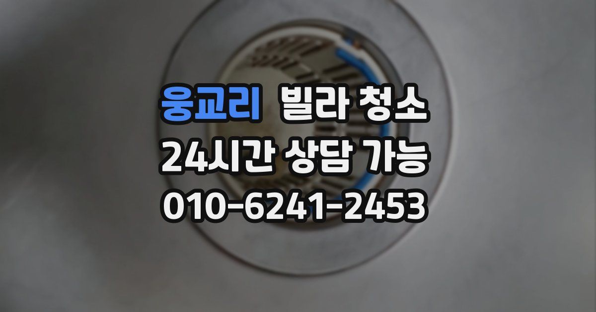 웅교리 빌라 청소