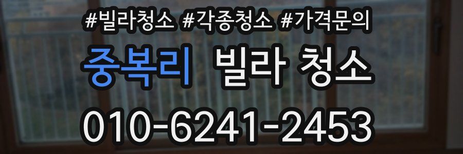 중복리 빌라 청소