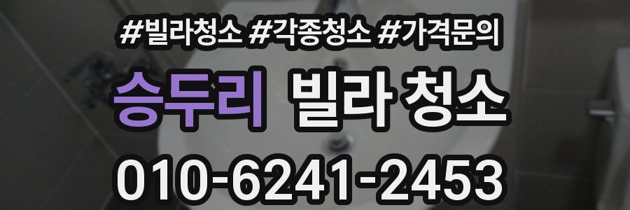 승두리 빌라 청소