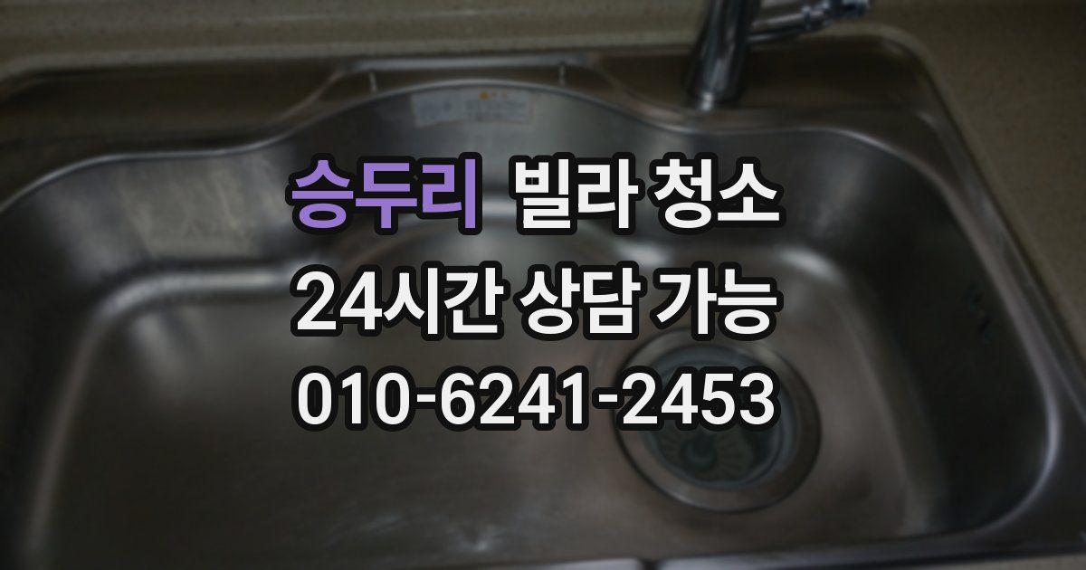 승두리 빌라 청소