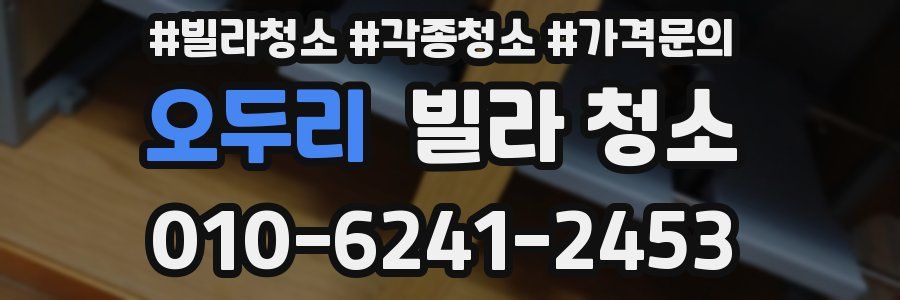 오두리 빌라 청소