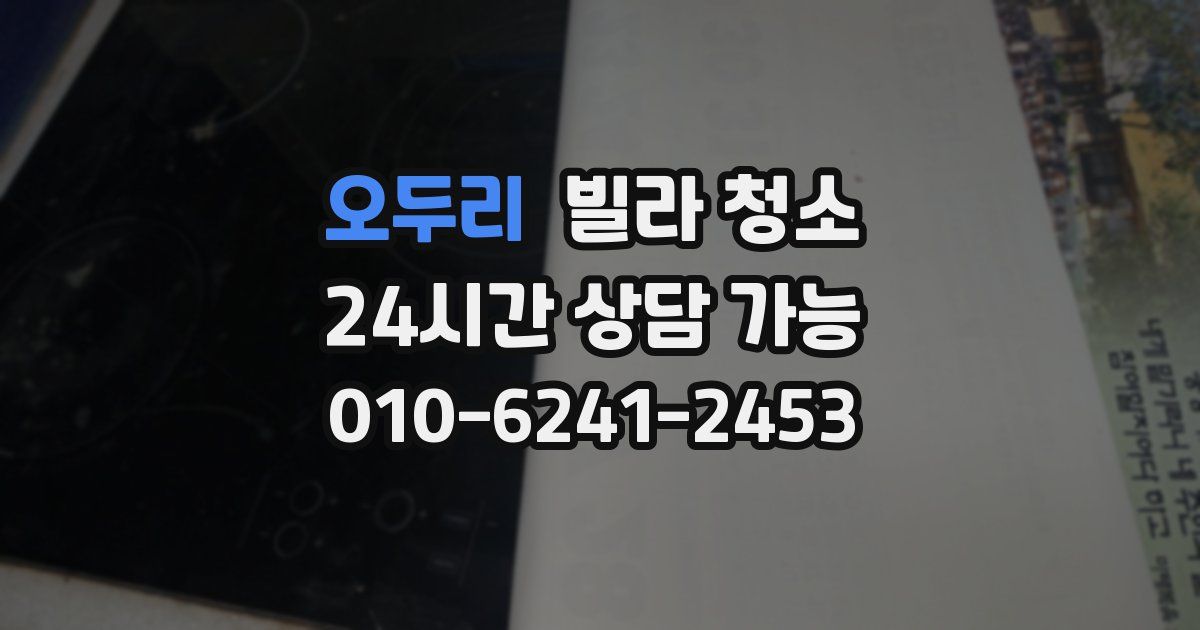 오두리 빌라 청소