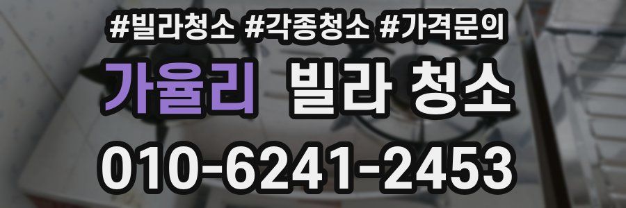 가율리 빌라 청소