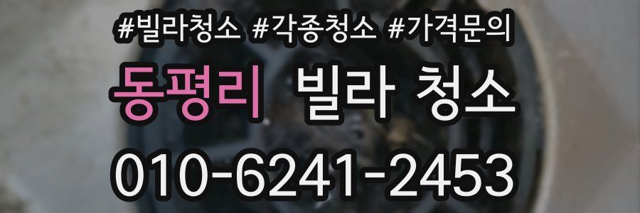 동평리 빌라 청소