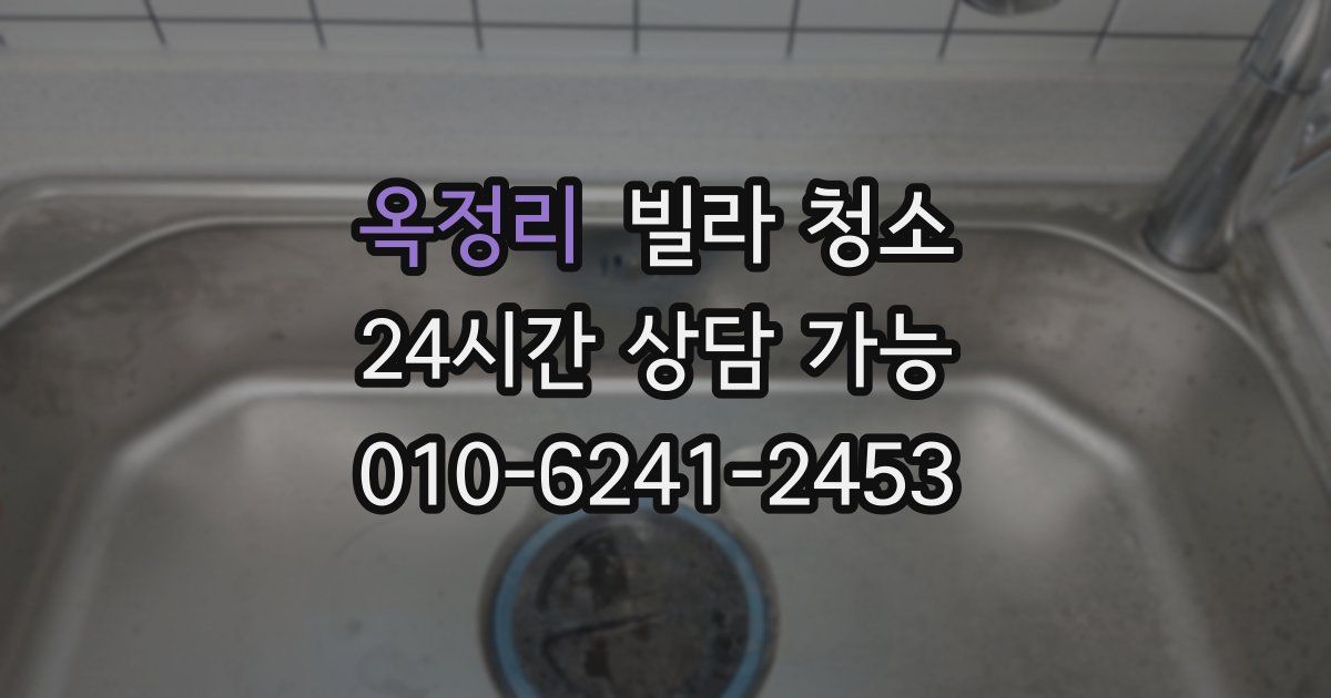 옥정리 빌라 청소