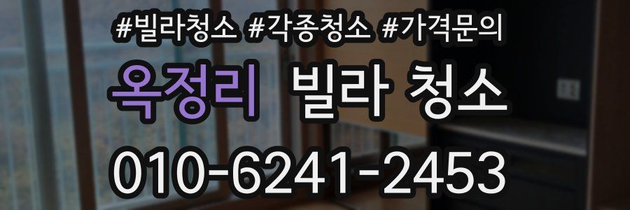 옥정리 빌라 청소