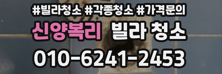 신양복리 빌라 청소