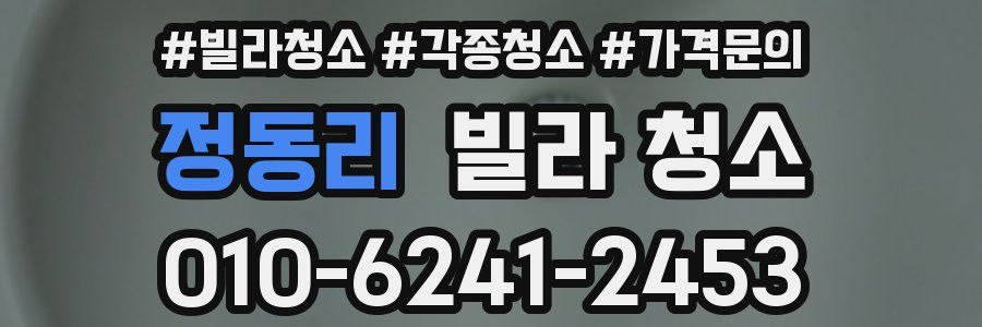 정동리 빌라 청소