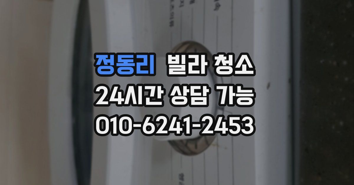 정동리 빌라 청소