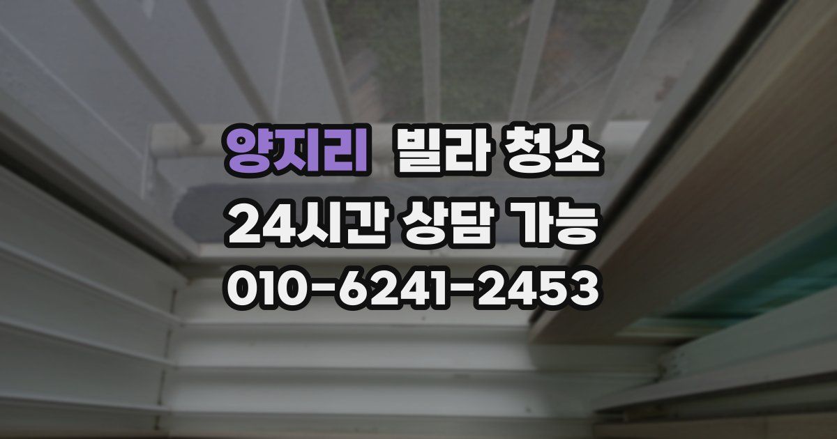 양지리 빌라 청소