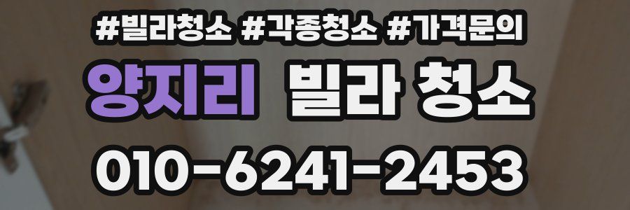 양지리 빌라 청소