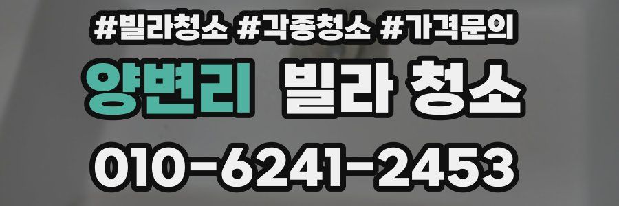 양변리 빌라 청소