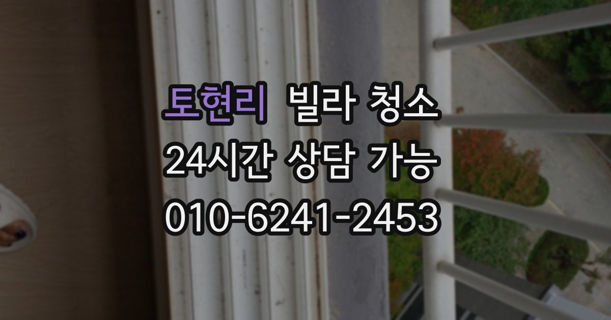 토현리 빌라 청소