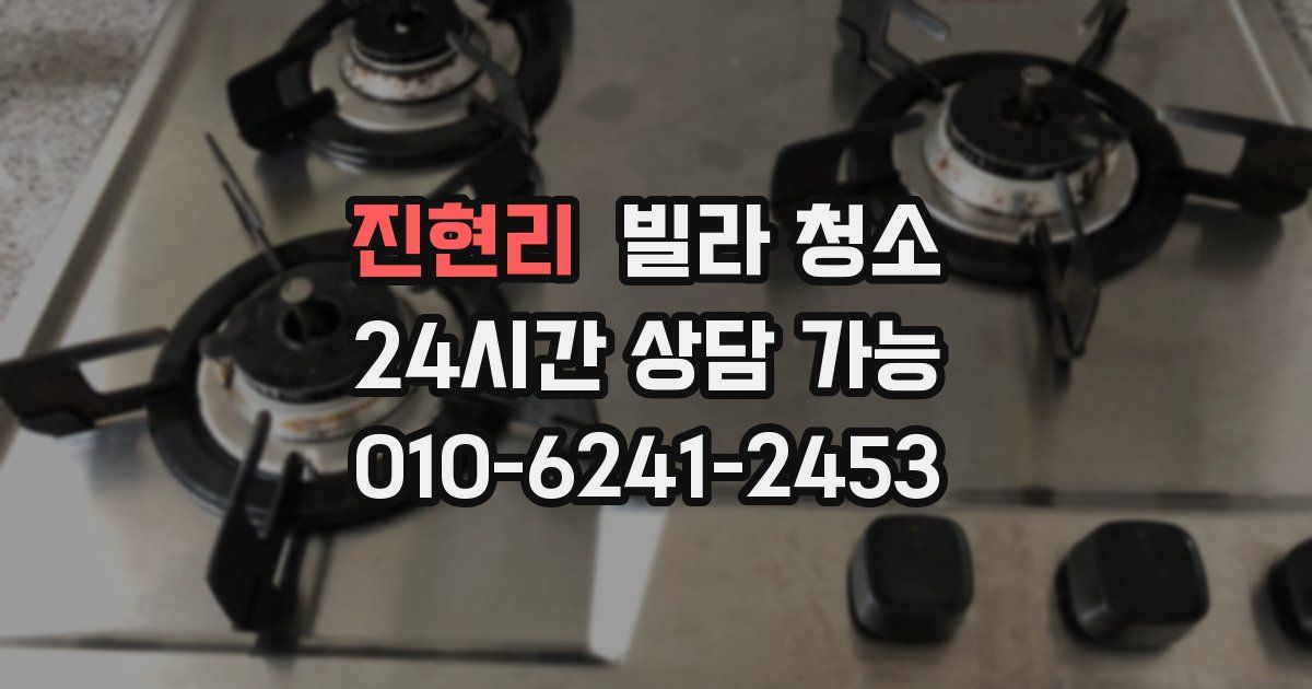 진현리 빌라 청소