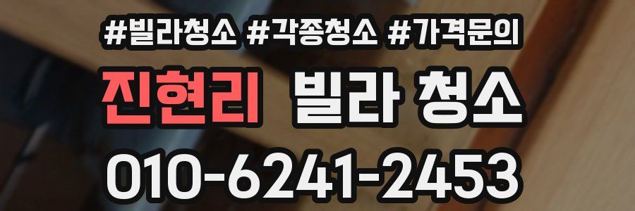 진현리 빌라 청소