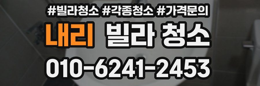 내리 빌라 청소