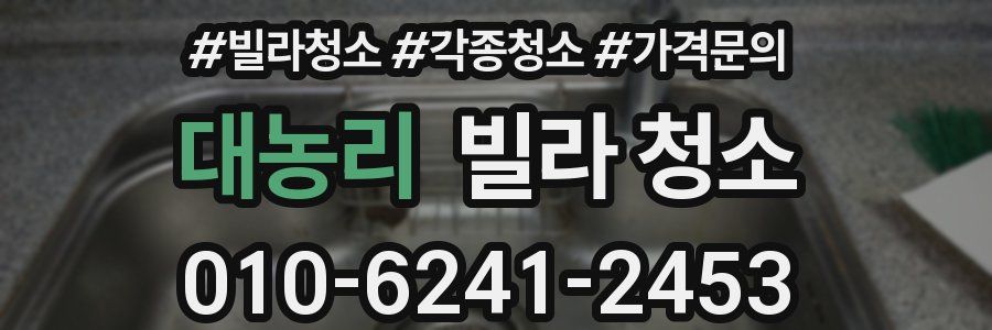 대농리 빌라 청소