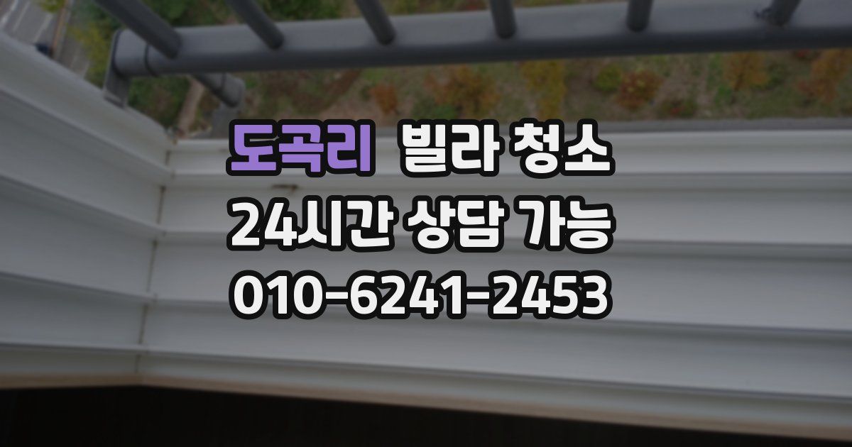 도곡리 빌라 청소