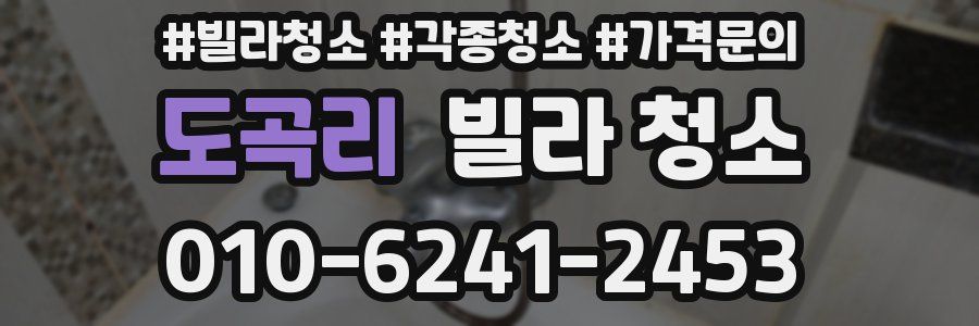 도곡리 빌라 청소