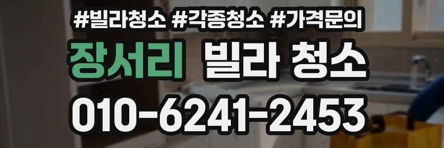 장서리 빌라 청소