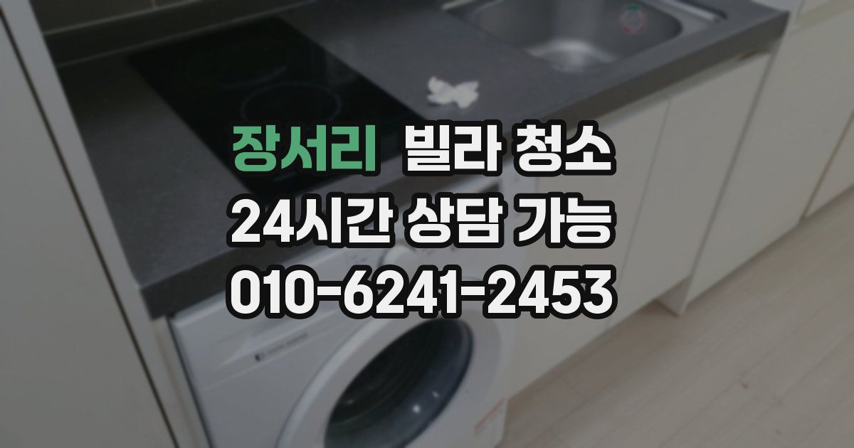 장서리 빌라 청소