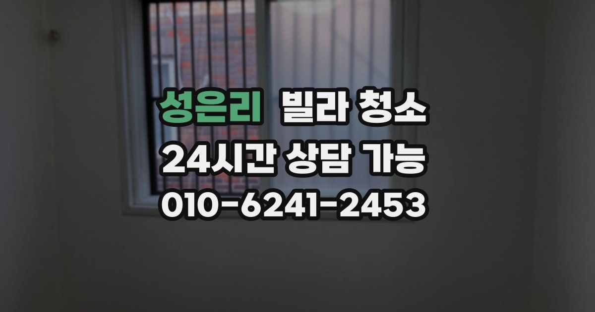 성은리 빌라 청소