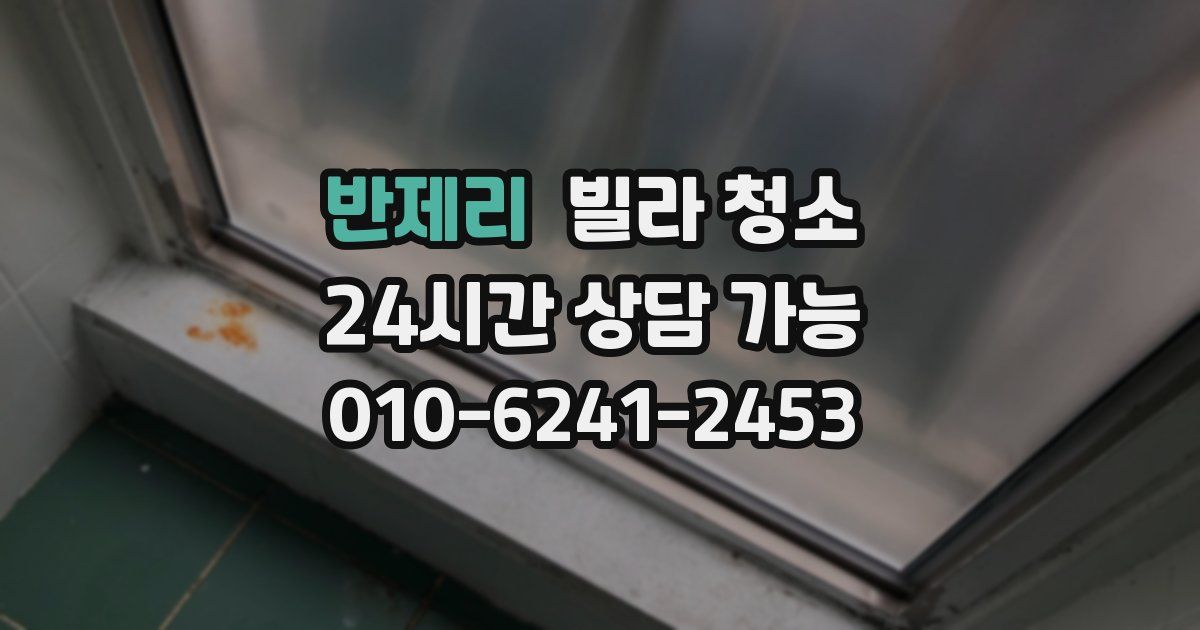 반제리 빌라 청소