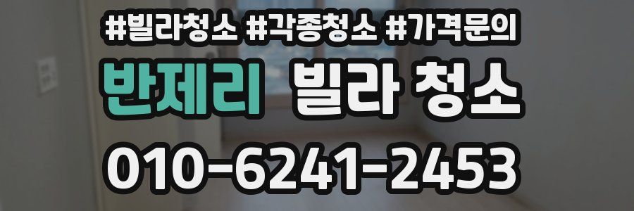 반제리 빌라 청소