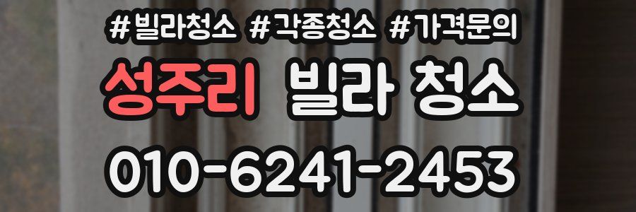 성주리 빌라 청소