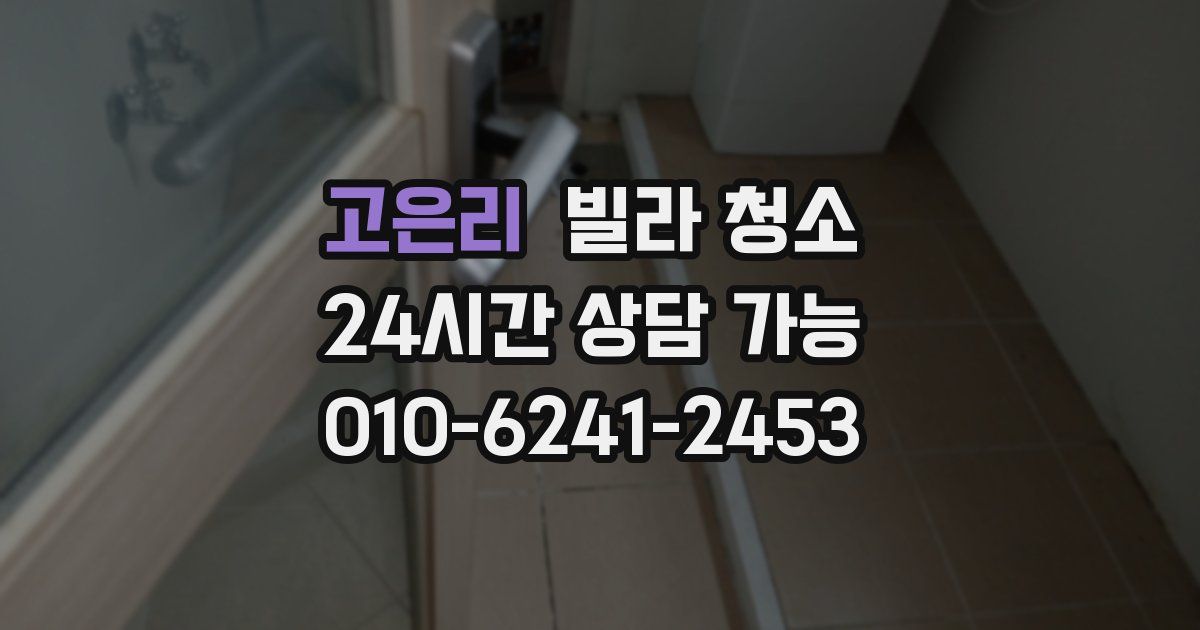 고은리 빌라 청소