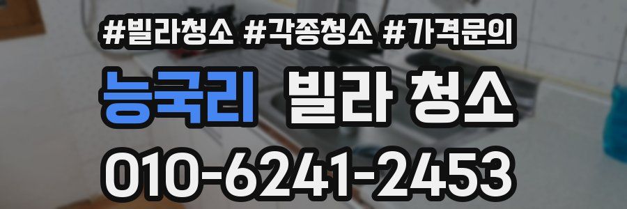 능국리 빌라 청소