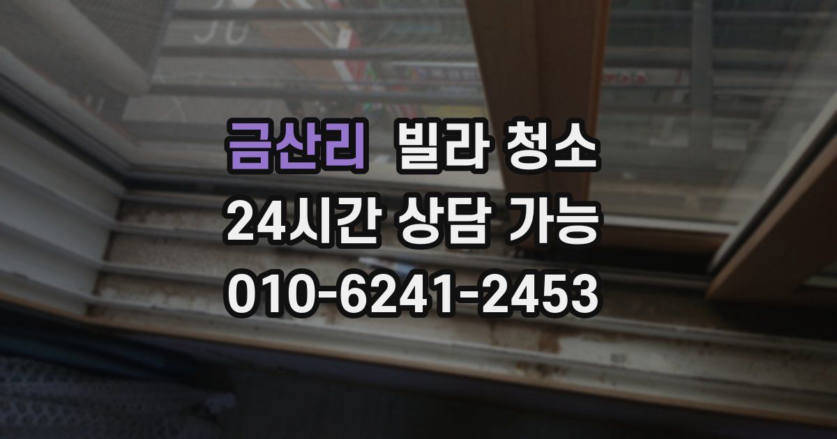 금산리 빌라 청소