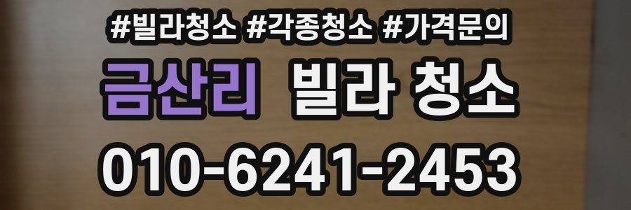 금산리 빌라 청소