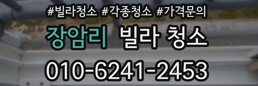 장암리 빌라 청소