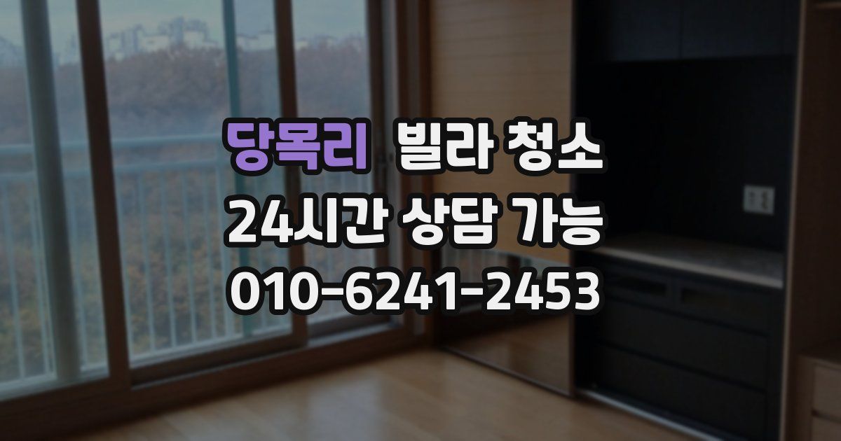 당목리 빌라 청소