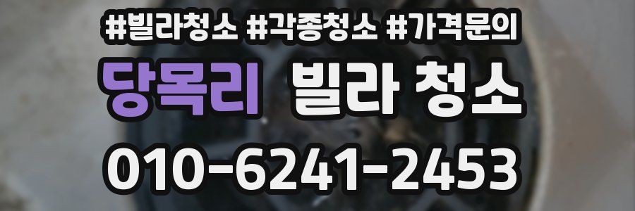 당목리 빌라 청소