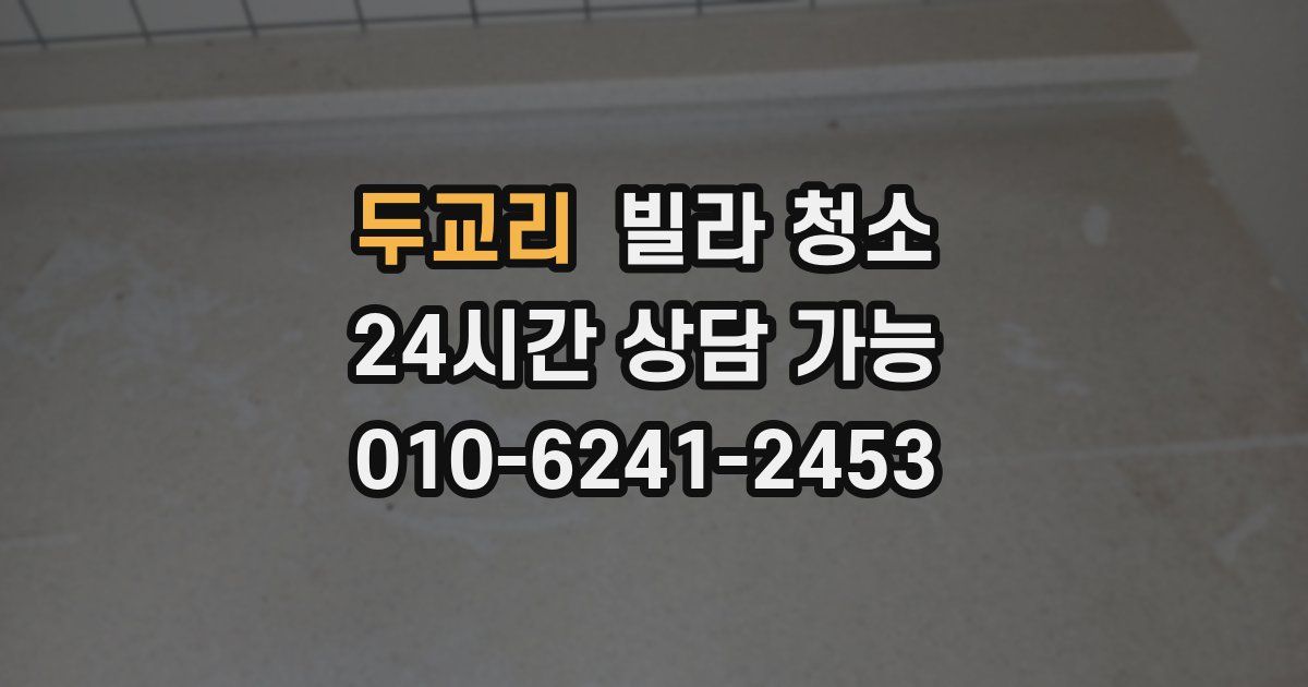 두교리 빌라 청소