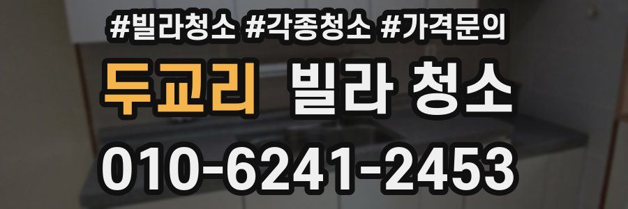 두교리 빌라 청소