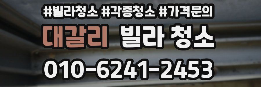 대갈리 빌라 청소