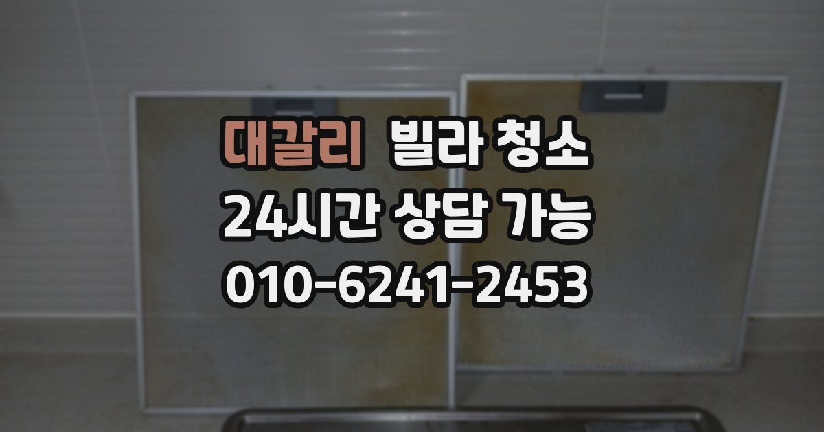 대갈리 빌라 청소