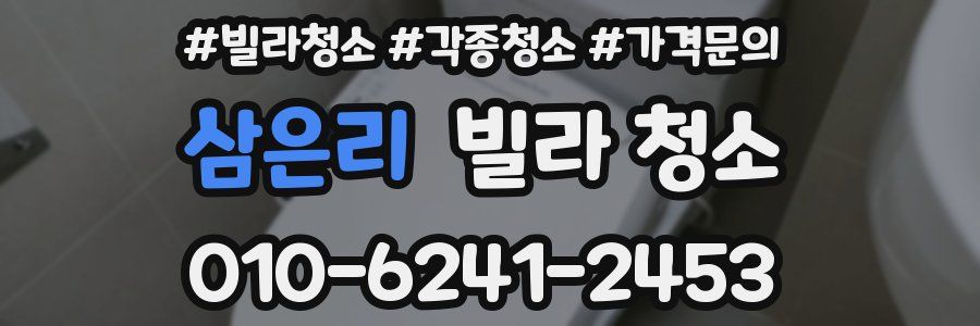 삼은리 빌라 청소