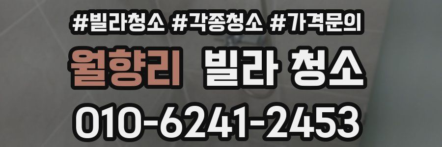 월향리 빌라 청소
