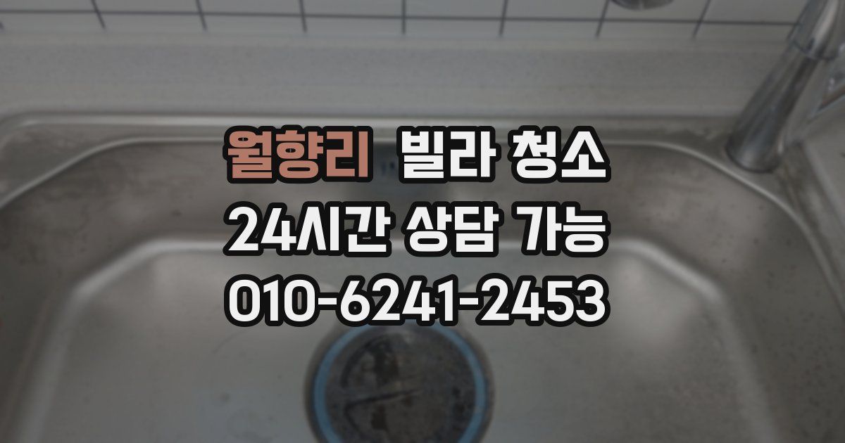 월향리 빌라 청소