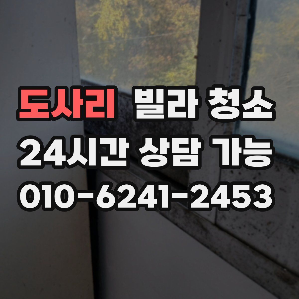 도사리 빌라 청소