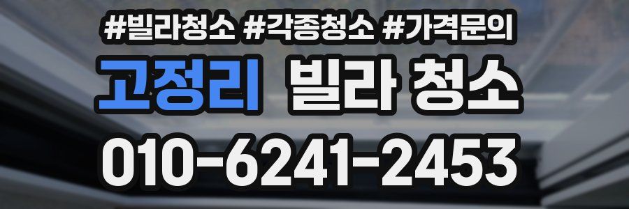 고정리 빌라 청소
