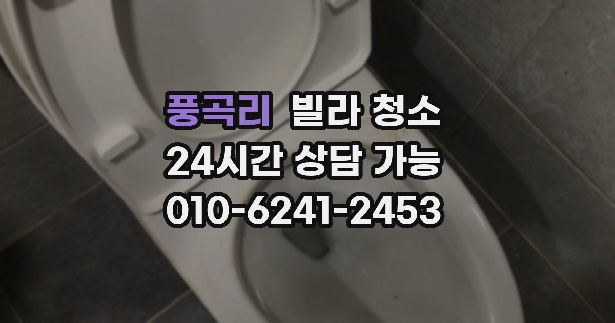 풍곡리 빌라 청소